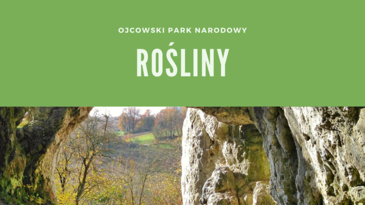 Ojcowski Park Narodowy Rośliny